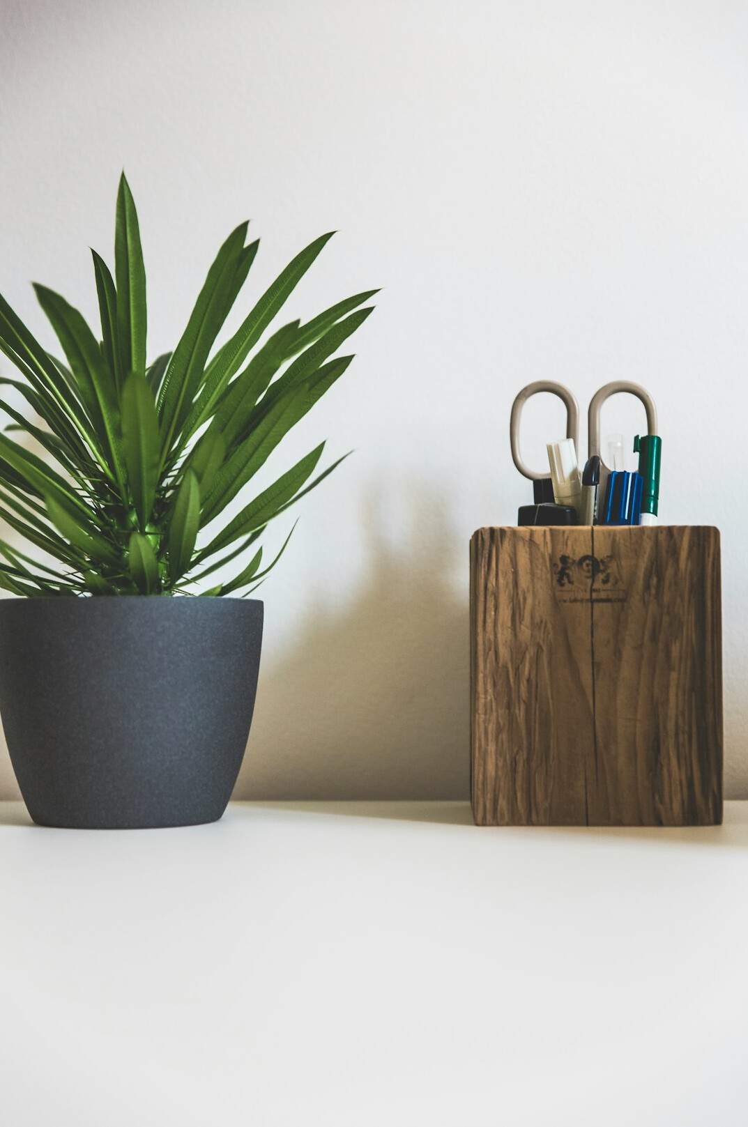 eco friendly office supplies